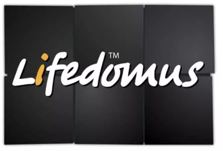 Script Lifedomus
